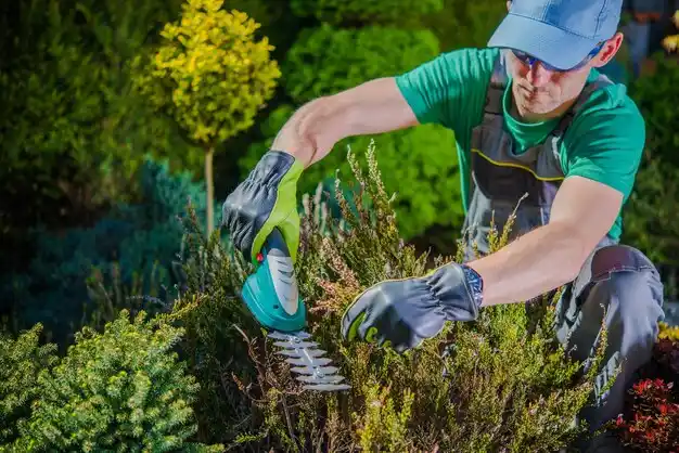 landscaping services Olivet